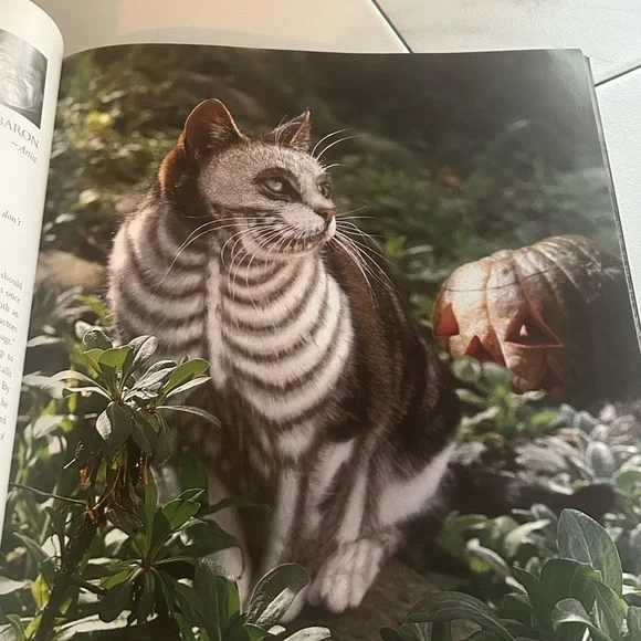 Colorful Vintage Cat Art Print Book Home Decor “Why Paint Cats” - Picture 4 of 15